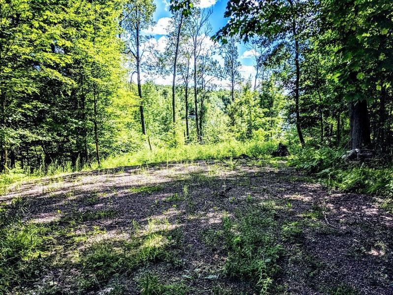 N1233 Deer Head Point, Rusk, WI 54728 - photo 1