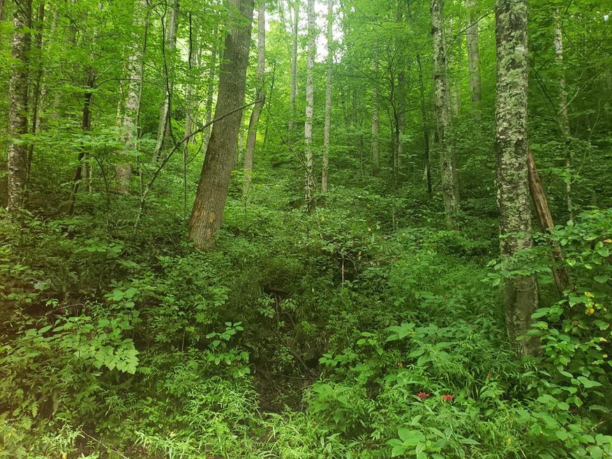 0 Orchard Ln, Sylva, NC 28779 - photo 1