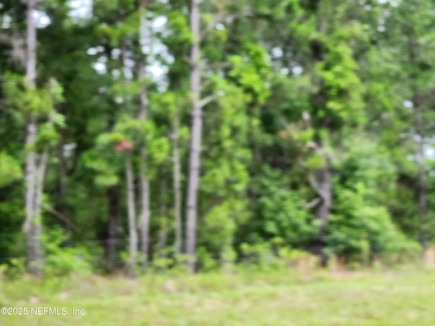 Wooded Lot on Paved Street