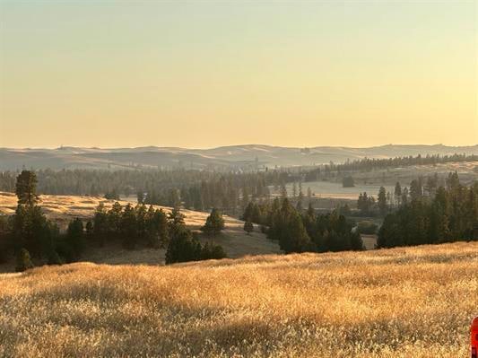 TBD Main St, Other, WA OTHER - photo 1