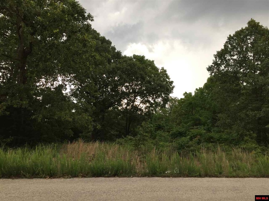 CR 93 Woods Point Rd, Union Township, AR 72531 - photo 1