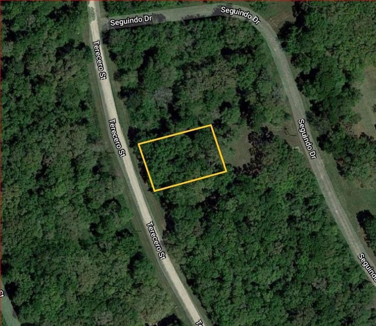 6309 Tercero, Brazoria, TX 77422 - photo 1