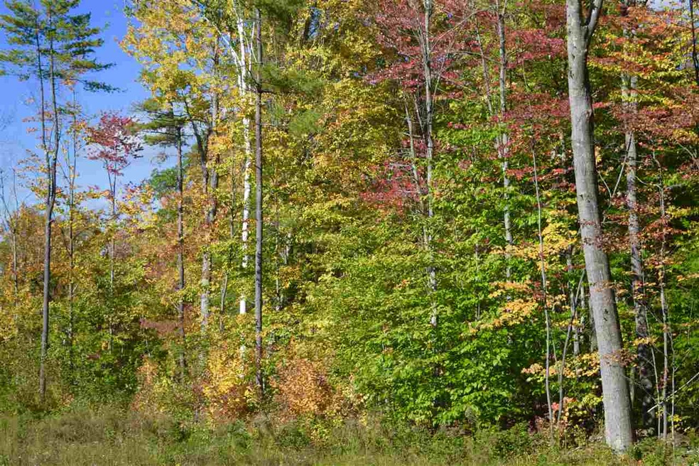 29 Gordon Hill Rd, New Hampton, NH 03256 - photo 1