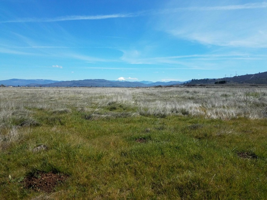 View to the East