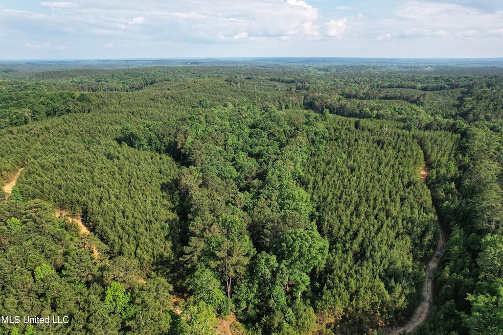 174+/- acres in Montgomery County, MS