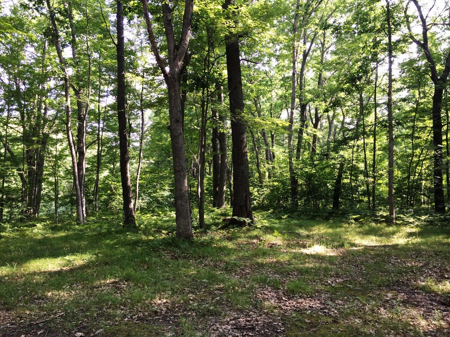 0 Cedar Rd, Lincoln Township, MI 48625 - photo 1