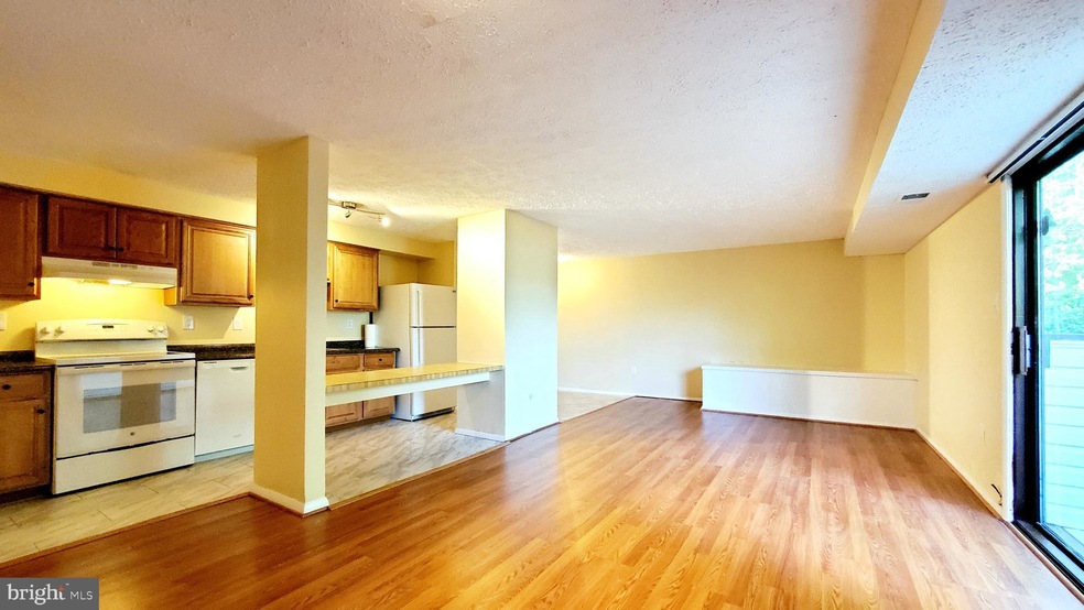 19513 Gunners Branch Rd unit 523, Germantown, MD 20876 - photo 1