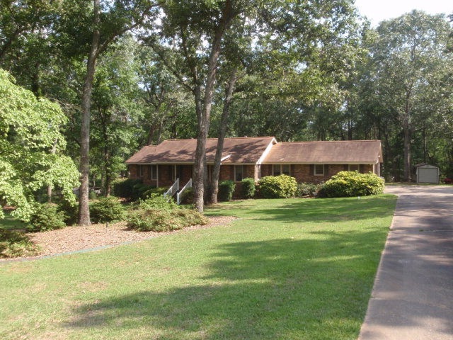 Main View