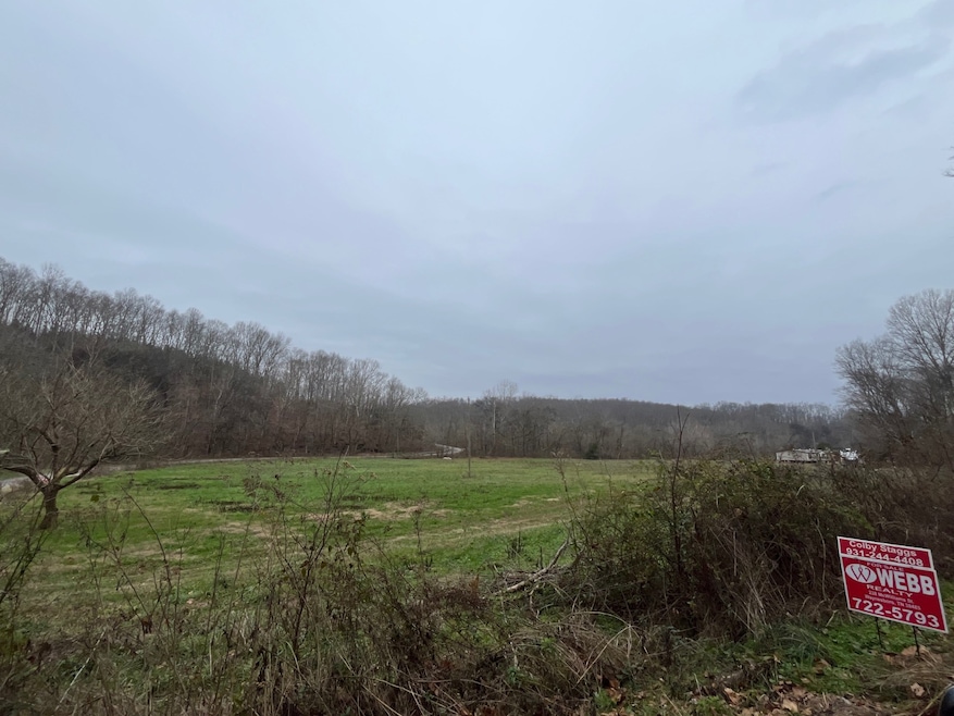 000 Walnut Grove Rd, Waynesboro, TN 38485 - photo 1
