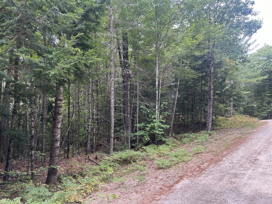 14 Fernalds Hill Way, Stow, ME 04037 - photo 1