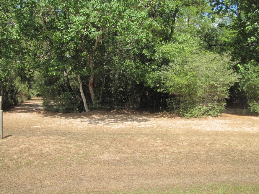 29233 Village Oaks Ct, Magnolia, TX 77355 - photo 1