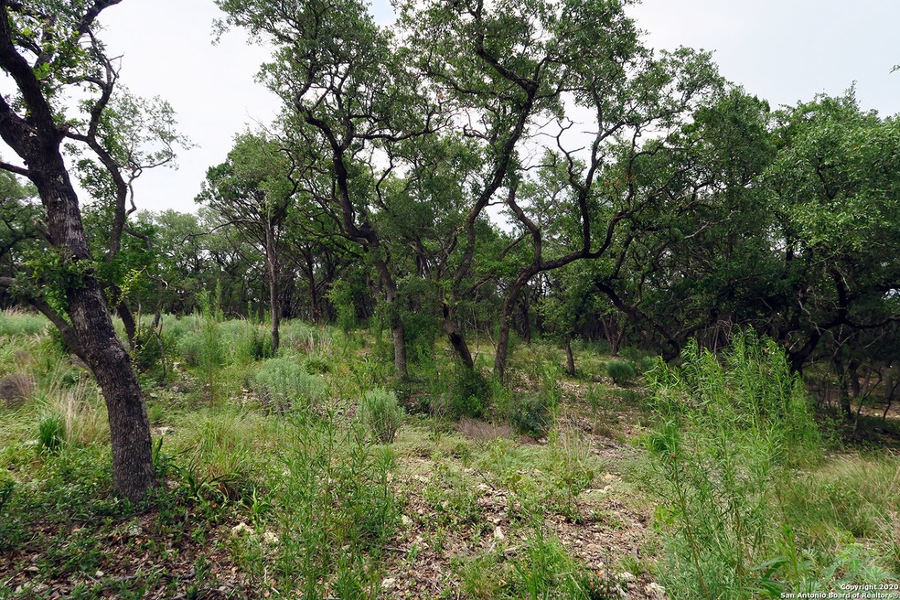 20322 Bobwhite Run, San Antonio, TX 78256 - photo 1