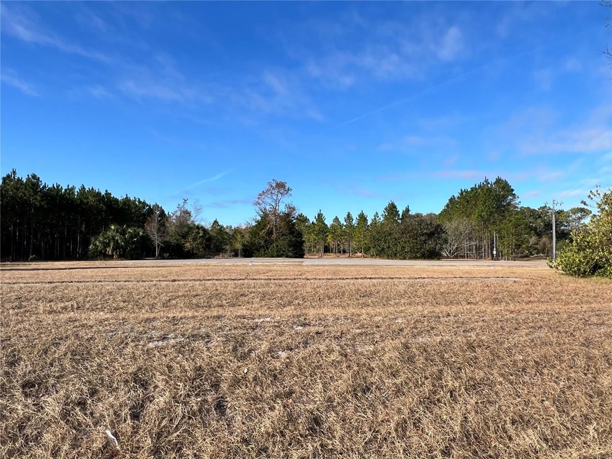 0 NW US Hwy 19 N unit MFRW7875806, Chiefland, FL 32626 - photo 1