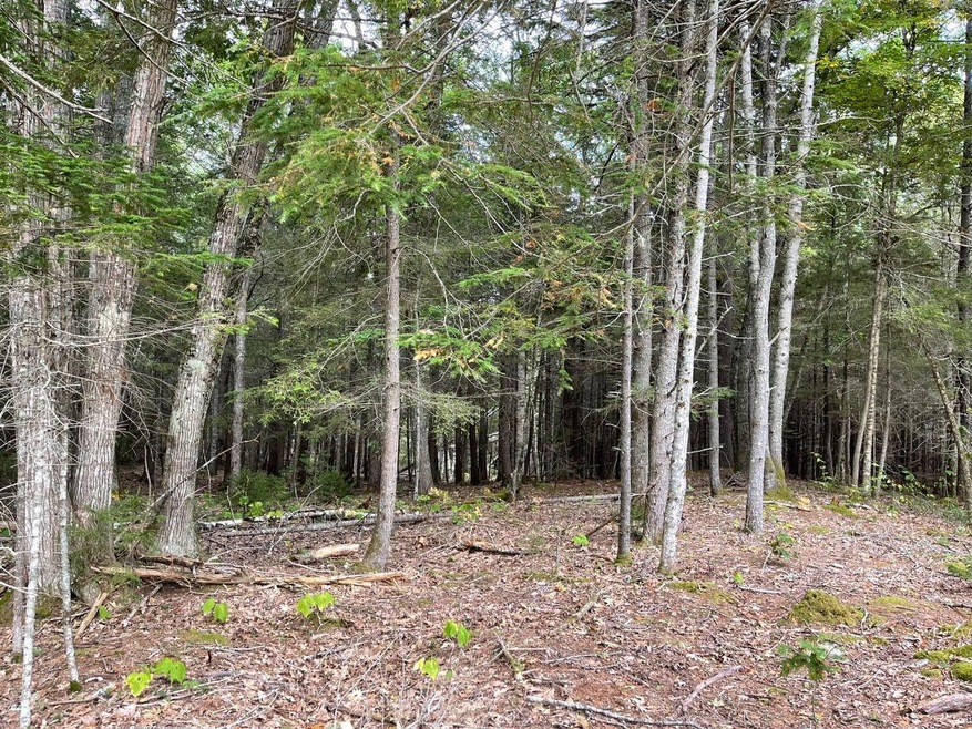 Lot G Blue Ridge Acres, Bristol, ME 04539 - photo 1