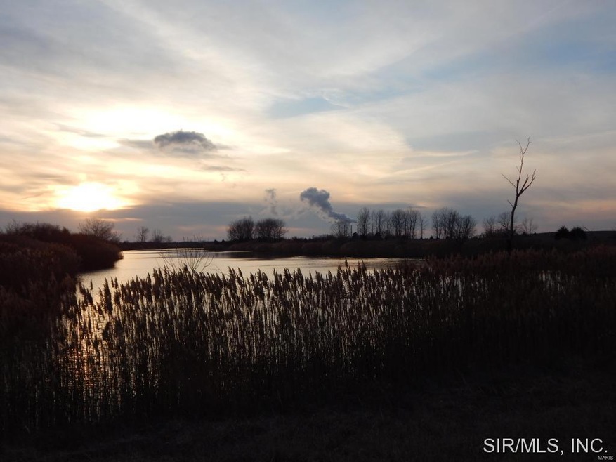 Duck huting or fishing