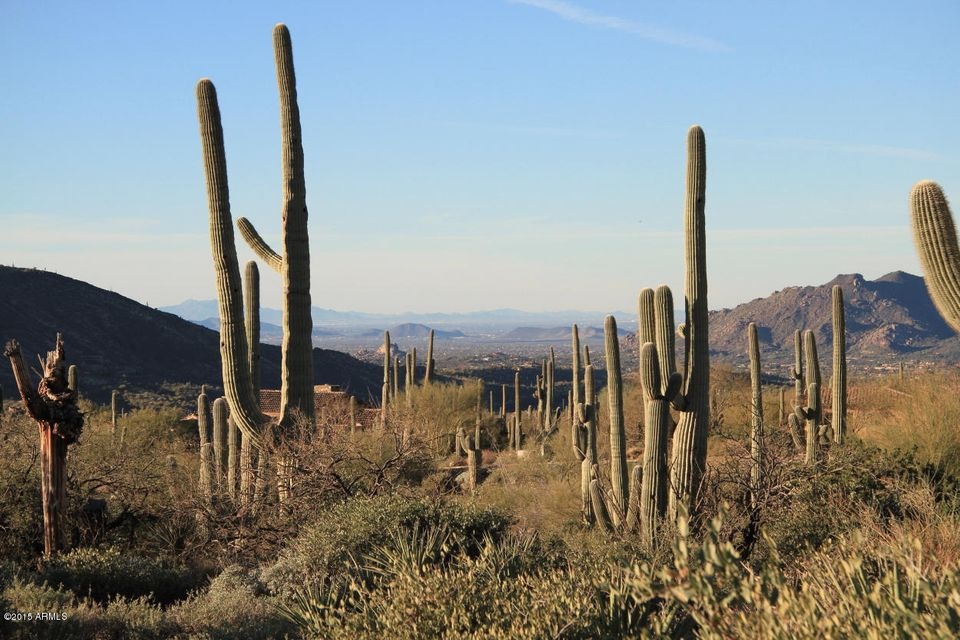 View to SW, detail