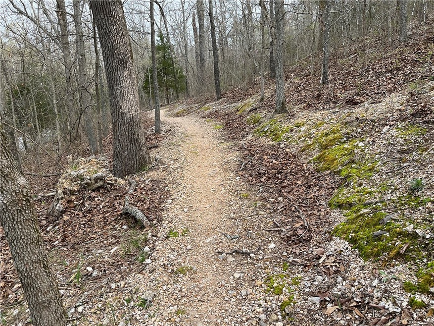 6 Little Dr, Bella Vista, AR 72715 - photo 1