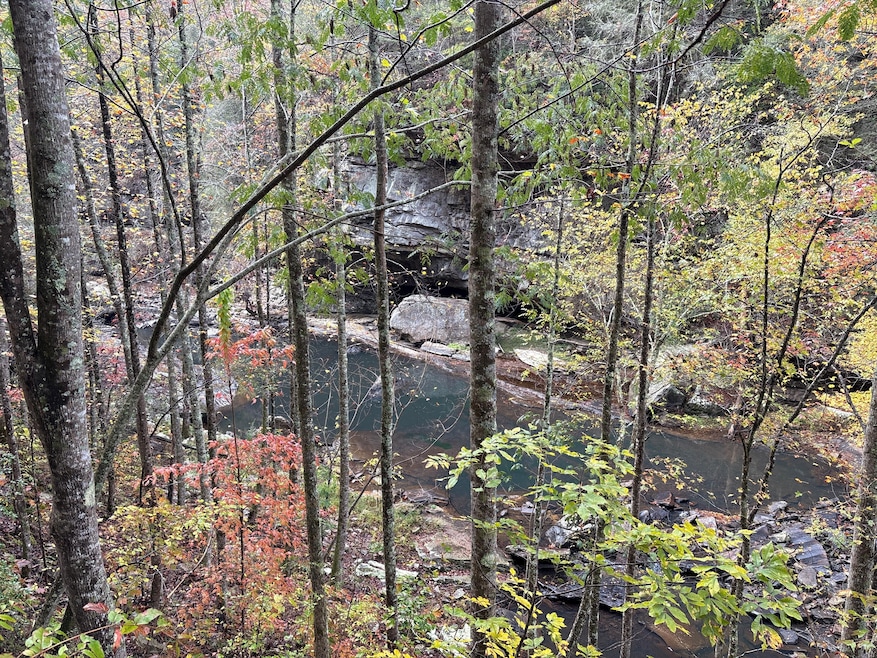 1130 County Road 376, Pisgah, AL 35765 - photo 1