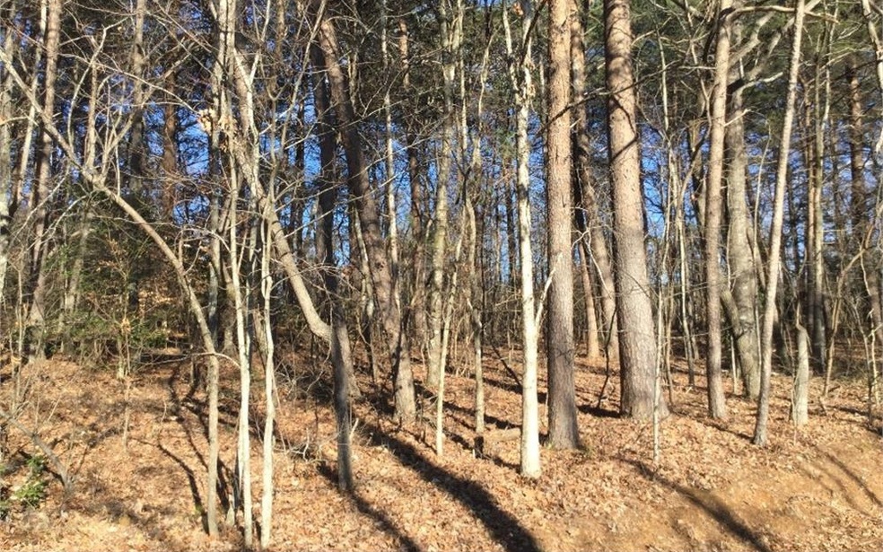 0 Timberland Dr unit 294596, Ellijay, GA 30540 - photo 1