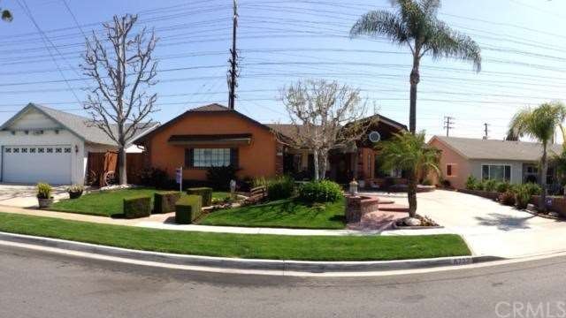 Photo taken March 2013  .... The tree to the left is a Liquid Amber tree that is beautiful during the Fall .. Center tree is called White Birch which creates a nice shade during the day and is well lit in the evening . To the Far right are two Queen 