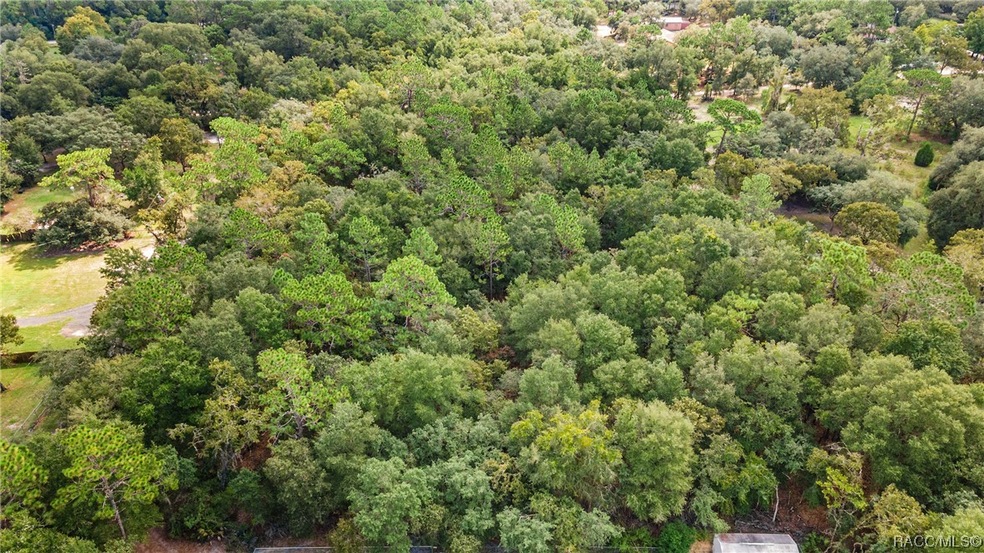 3460 E Cedar Oak Ln, Hernando, FL 34434 - photo 1