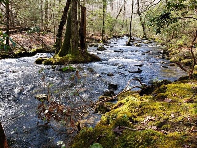 beaten path creek