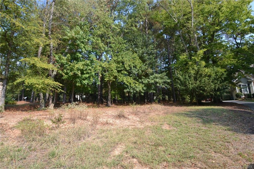 351 Crepe Ridge Dr unit 351, Westport, NC 28037 - photo 1