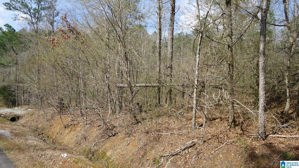 551 Grayton Rd S, Ohatchee, AL 36206 - photo 1