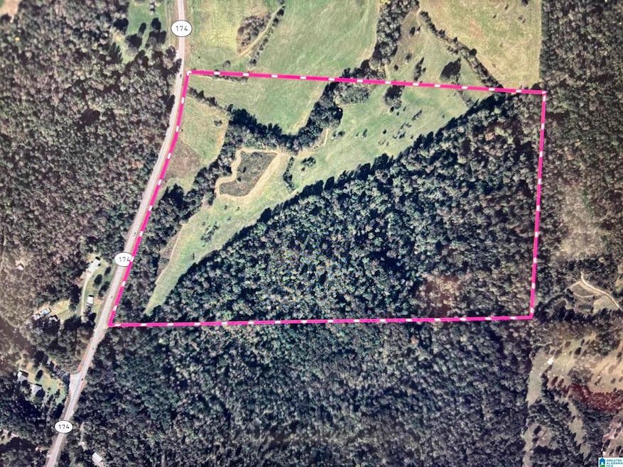 0 Highway 174 unit Tract 8 21415020, Springville, AL 35146 - photo 1