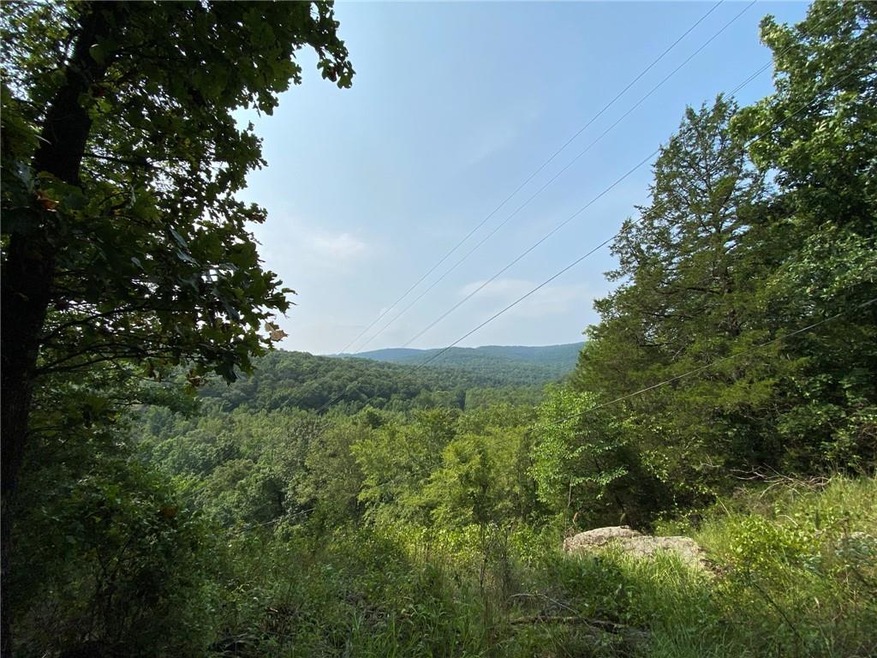 10AC Wild Turkey Rd, Winslow, AR 72959 - photo 1
