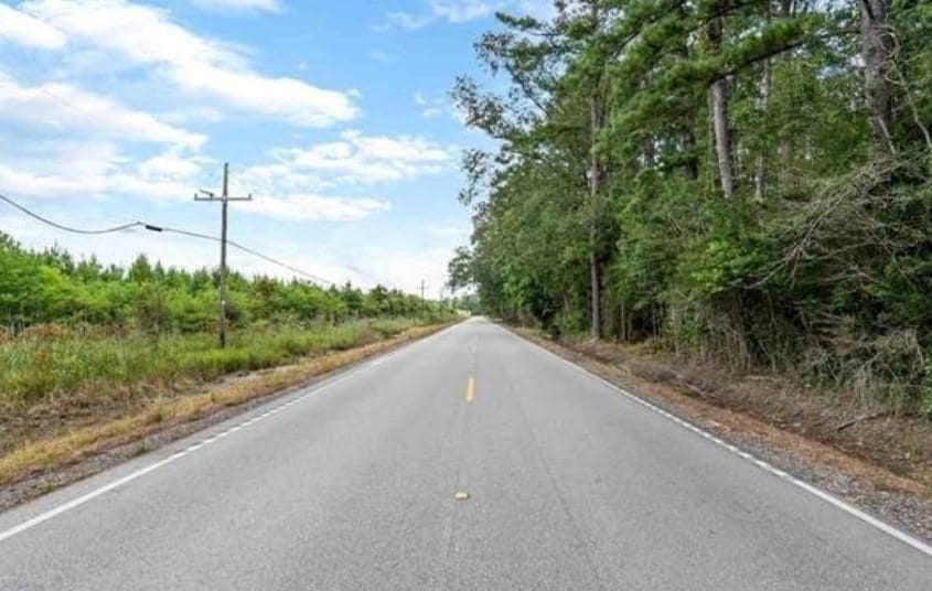 35220 La Hwy 441 None, Holden, LA 70744 - photo 1