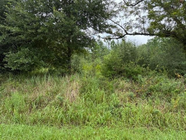 0 Novatan Rd N unit 7621370, Mobile, AL 36608 - photo 1