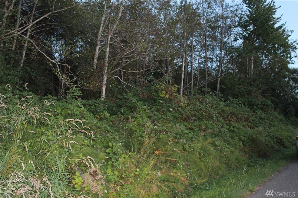 18923 98th Ave NW, Stanwood, WA 98292 - photo 1