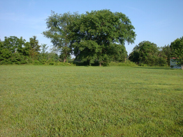 Primary Photo