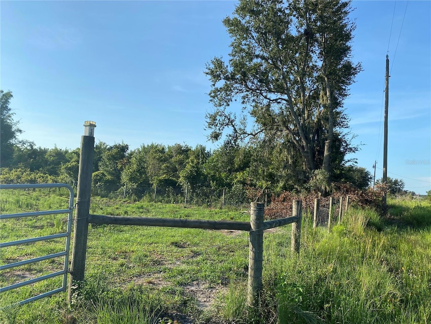 5187 Greenfields Run, Zolfo Springs, FL 33890 - photo 1