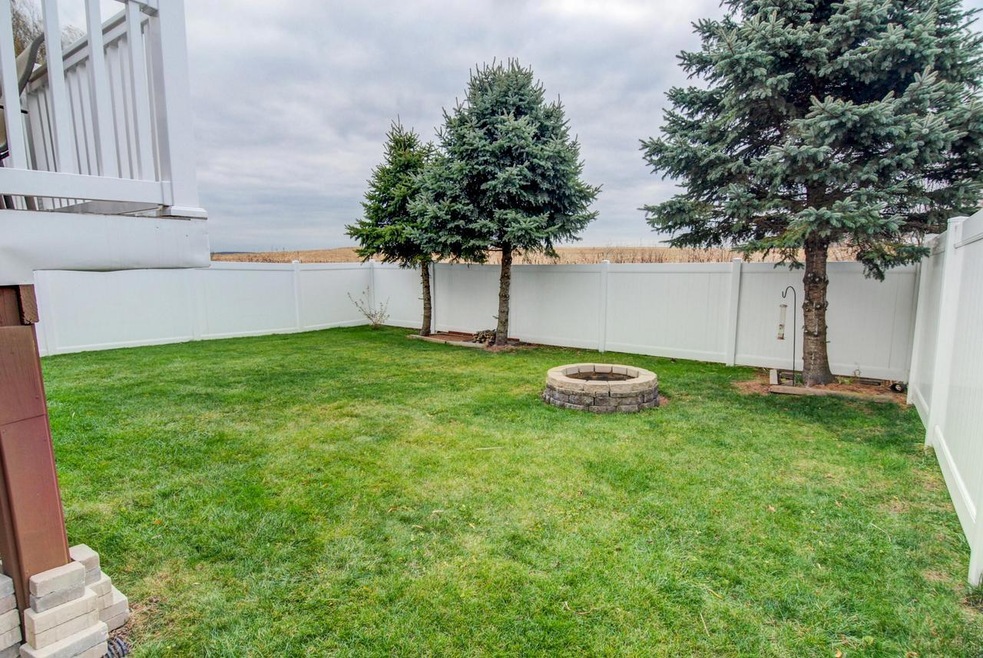 Backyard3