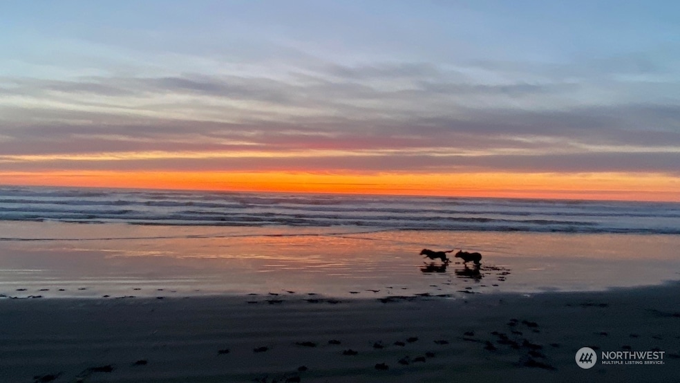 Chautauqua Lodge unit 223, Long Beach, WA 98631 - photo 1