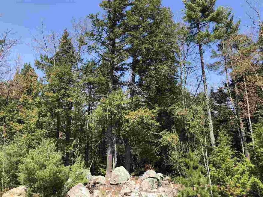 20 Adams Way, Middleton, NH 03887 - photo 1