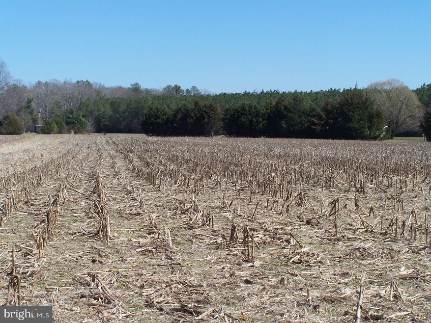 Lot A Shingle Point Rd, Georgetown, DE 19947 - photo 1