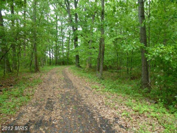 0 Mount Gilead Rd unit 1003991050, Leesburg, VA 20175 - photo 1