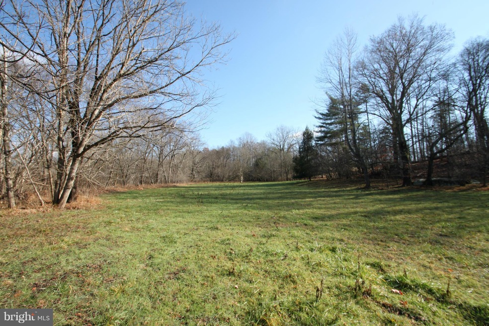 0 Crooked Run Ln unit 1000140993, Rapidan, VA 22733 - photo 1