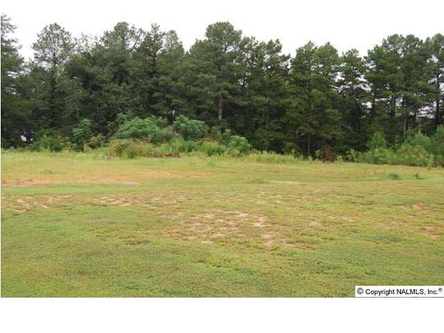0 Randles Rd, Grant, AL 35747 - photo 1