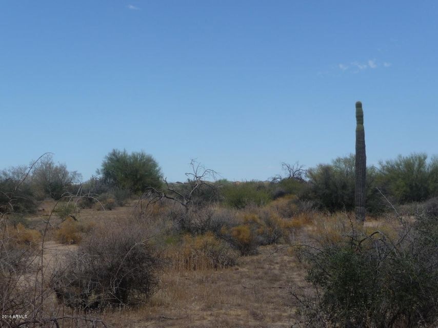 Lot picture