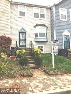 3518 Cherry Hill Ct, Beltsville, MD 20705 - photo 1