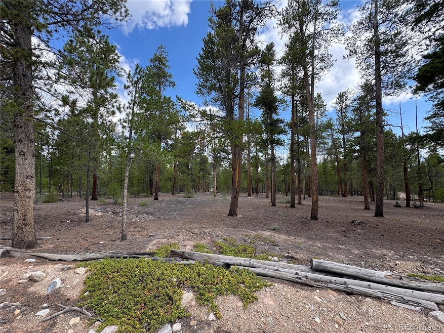 719 Peakview unit 352A, Twin Lakes, CO 81251 - photo 1