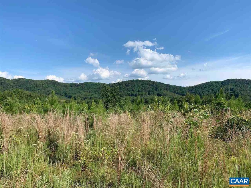 0 E Pounding Creek Rd, Charlottesville, VA 22903 - photo 1