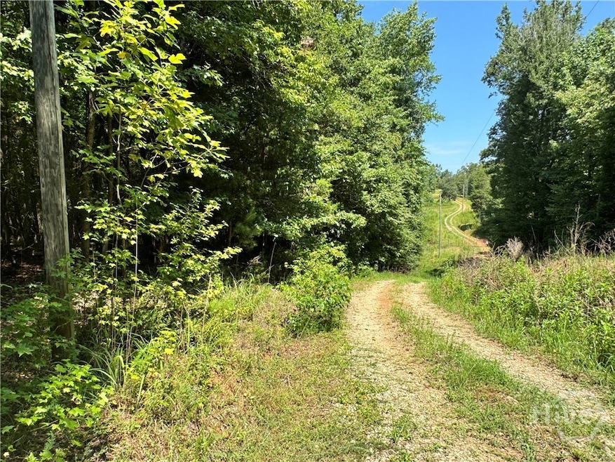 0 Hwy 29 N unit CL335575, Danielsville, GA 30633 - photo 1