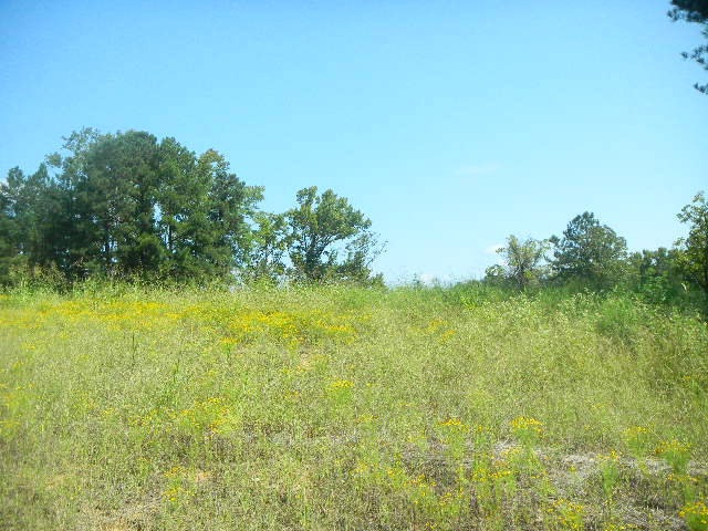 360 Arthur Grimaud Way, Appling, GA 30802 - photo 1