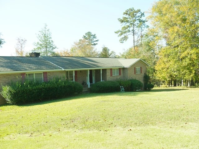 Primary Photo