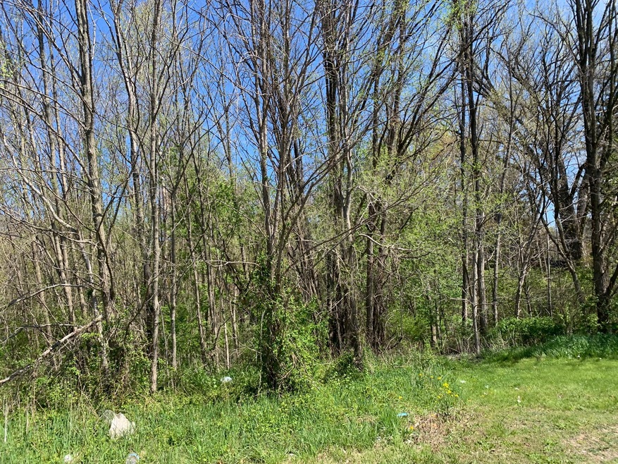 0 Sawyer Rd unit 21014800, Sawyer, MI 49125 - photo 1